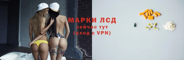 прущие грибы Беломорск