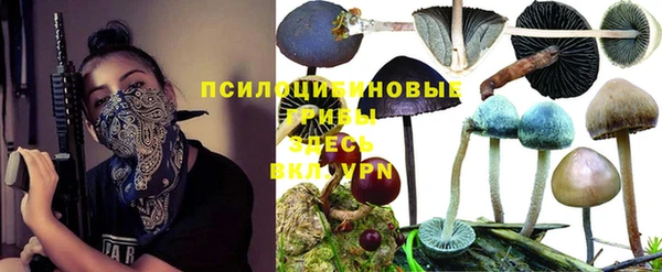 спайс Белоозёрский