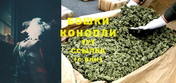 Альфа ПВП Белокуриха