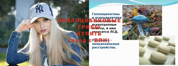 Альфа ПВП Белокуриха